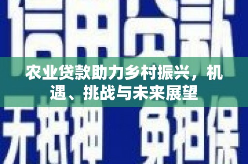 兴庆农业贷款助力乡村振兴，机遇、挑战与未来展望