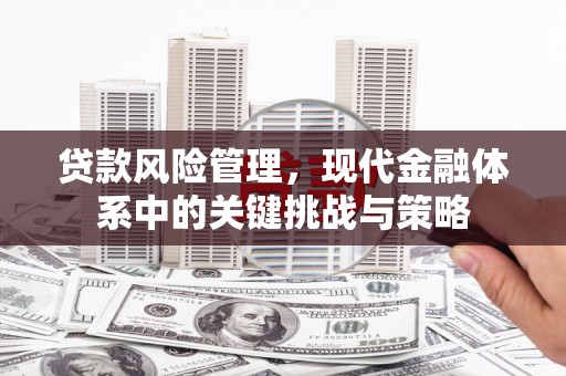 兴庆贷款风险管理，现代金融体系中的关键挑战与策略
