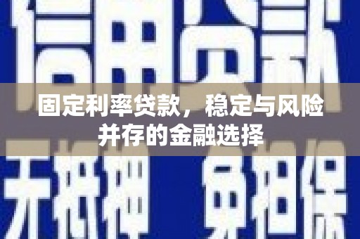 兴庆固定利率贷款，稳定与风险并存的金融选择