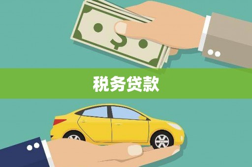 兴庆税务贷款