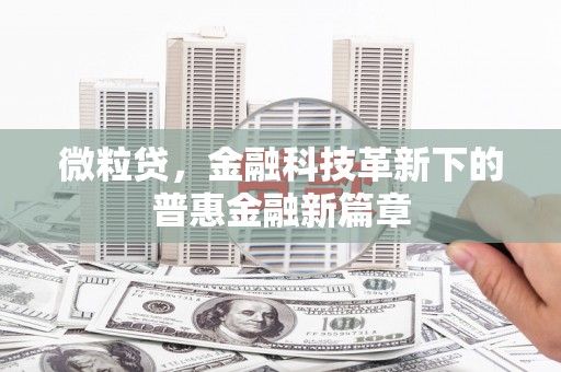 兴庆微粒贷，金融科技革新下的普惠金融新篇章