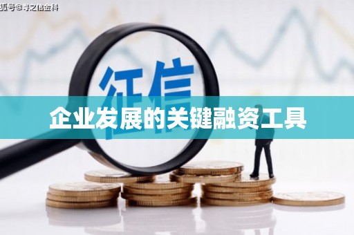 兴庆企业发展的关键融资工具