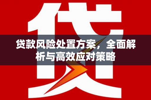 兴庆贷款风险处置方案，全面解析与高效应对策略