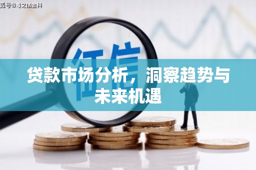 兴庆贷款市场分析，洞察趋势与未来机遇