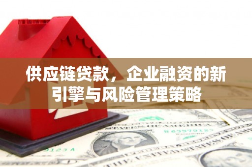 兴庆供应链贷款，企业融资的新引擎与风险管理策略