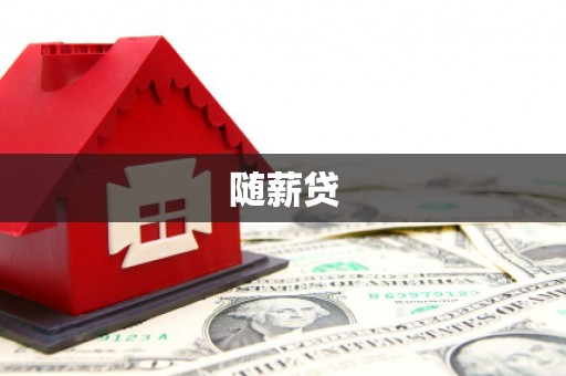 兴庆随薪贷