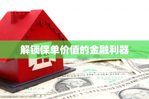 兴庆解锁保单价值的金融利器