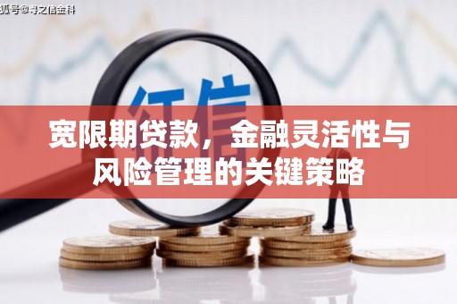 兴庆宽限期贷款，金融灵活性与风险管理的关键策略
