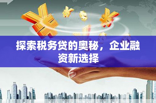 兴庆探索税务贷的奥秘，企业融资新选择
