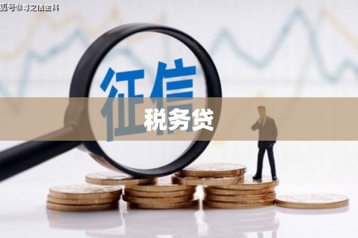 兴庆税务贷
