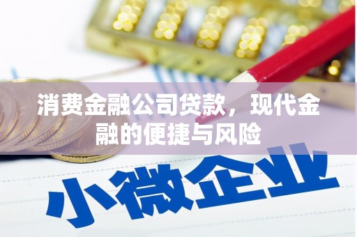 兴庆消费金融公司贷款，现代金融的便捷与风险