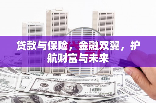 兴庆贷款与保险，金融双翼，护航财富与未来