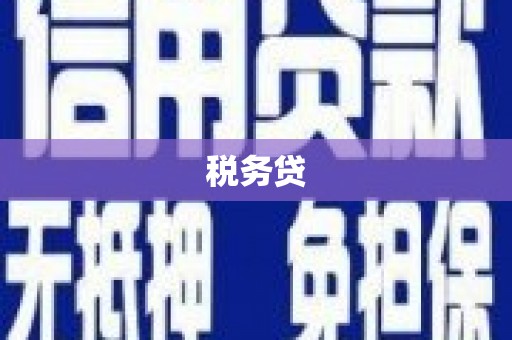兴庆税务贷