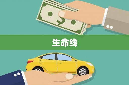 兴庆生命线