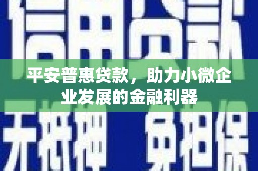 兴庆平安普惠贷款，助力小微企业发展的金融利器