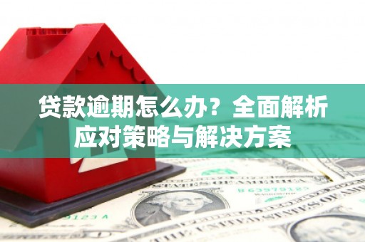 兴庆贷款逾期怎么办？全面解析应对策略与解决方案