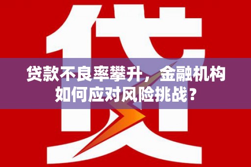 兴庆贷款不良率攀升，金融机构如何应对风险挑战？