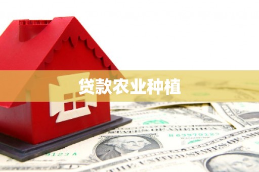 兴庆贷款农业种植