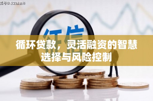 兴庆循环贷款，灵活融资的智慧选择与风险控制