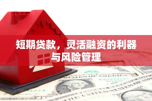 兴庆短期贷款，灵活融资的利器与风险管理