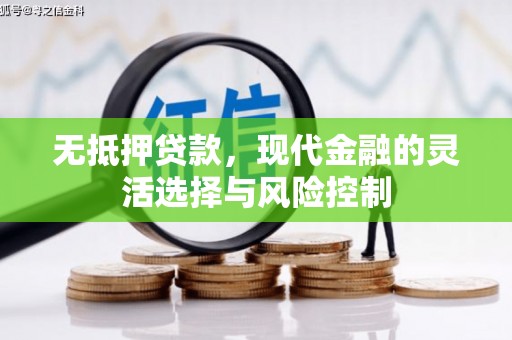 兴庆无抵押贷款，现代金融的灵活选择与风险控制