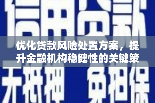 兴庆优化贷款风险处置方案，提升金融机构稳健性的关键策略