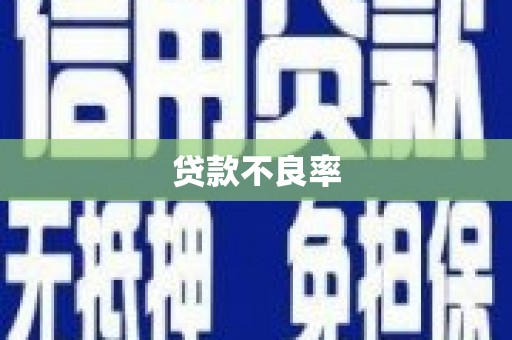 兴庆贷款不良率