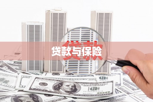 兴庆贷款与保险
