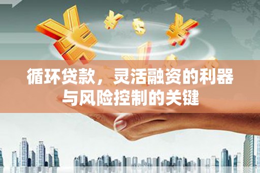 兴庆循环贷款，灵活融资的利器与风险控制的关键