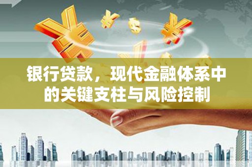 兴庆银行贷款，现代金融体系中的关键支柱与风险控制