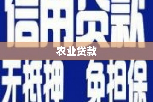 兴庆农业贷款