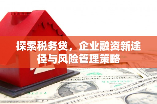 兴庆探索税务贷，企业融资新途径与风险管理策略