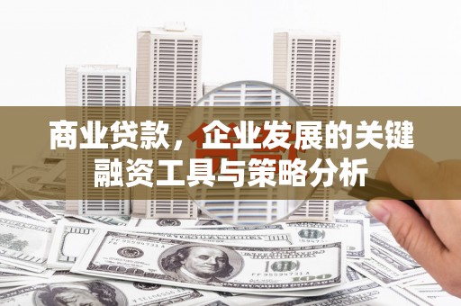 兴庆商业贷款，企业发展的关键融资工具与策略分析