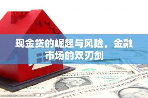 兴庆现金贷的崛起与风险，金融市场的双刃剑