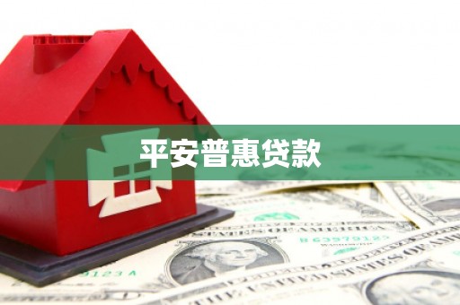兴庆平安普惠贷款