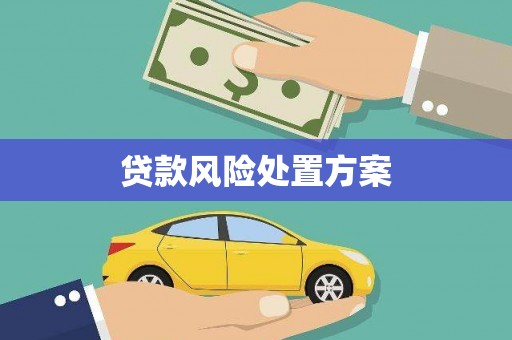 兴庆贷款风险处置方案