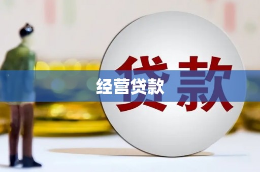 兴庆经营贷款