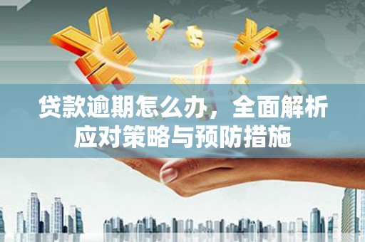 兴庆贷款逾期怎么办，全面解析应对策略与预防措施