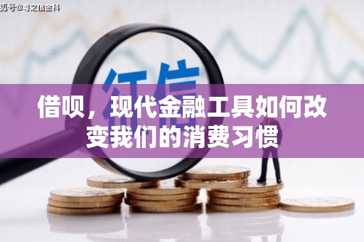 兴庆借呗，现代金融工具如何改变我们的消费习惯