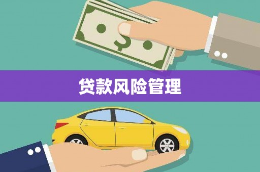 兴庆贷款风险管理
