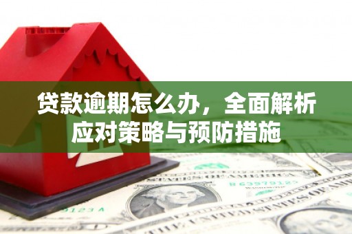 兴庆贷款逾期怎么办，全面解析应对策略与预防措施