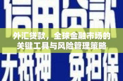 兴庆外汇贷款，全球金融市场的关键工具与风险管理策略