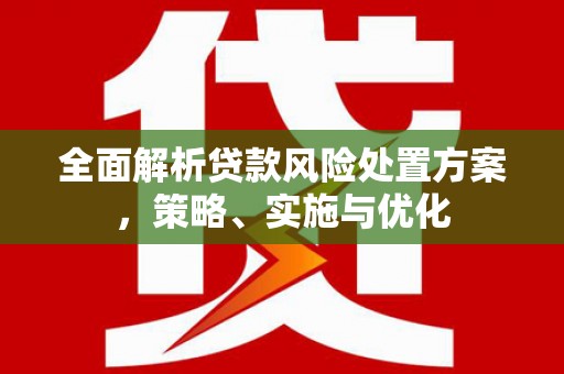 兴庆全面解析贷款风险处置方案，策略、实施与优化
