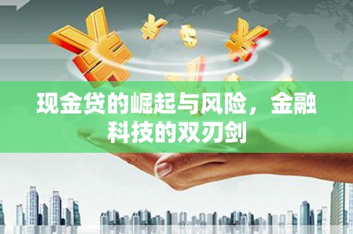 兴庆现金贷的崛起与风险，金融科技的双刃剑