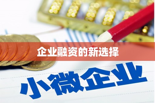 兴庆企业融资的新选择