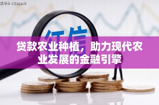 兴庆贷款农业种植，助力现代农业发展的金融引擎