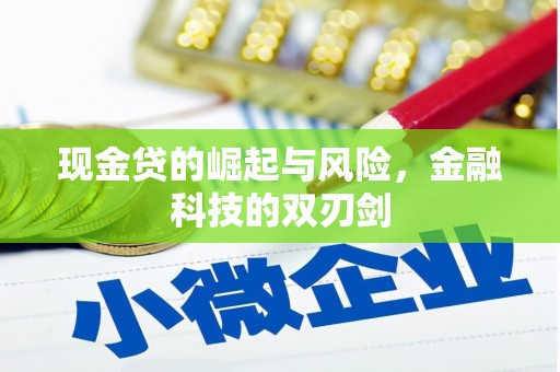 兴庆现金贷的崛起与风险，金融科技的双刃剑