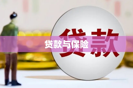 兴庆贷款与保险