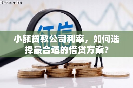兴庆小额贷款公司利率，如何选择最合适的借贷方案？