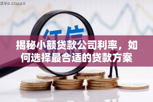 兴庆揭秘小额贷款公司利率，如何选择最合适的贷款方案